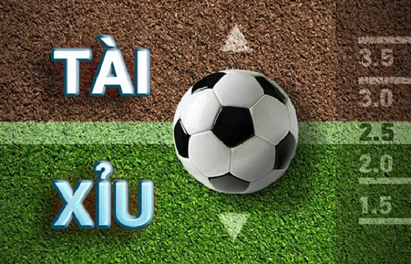 Hướng dẫn cách đọc kèo tài xỉu bóng đá dành cho người mới