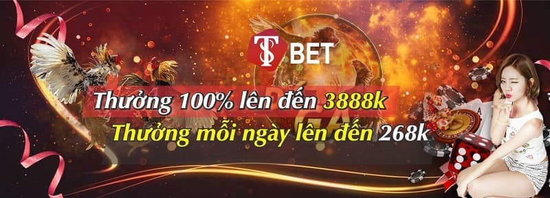 T8Bet T8Bet